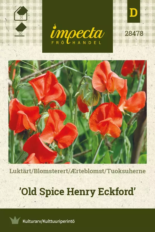 TUOKSUHERNE OLD SPICE HENRY ECKFORD - Muut kesäkukkien siemenet - 7332756284780 - 1