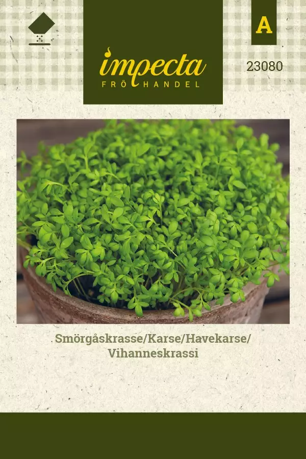 VIHANNESKRASSI - Muut yrttien siemenet - 7332756230800 - 1