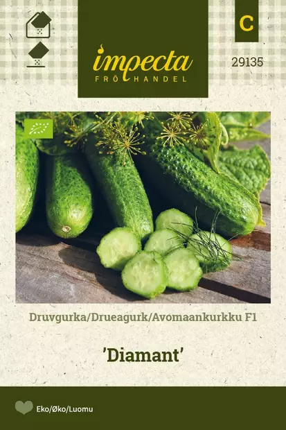 AVOMAANKURKKU DIAMANT - Kurkun siemenet - 7332756291351 - 1