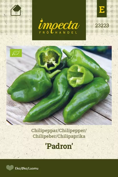 CHILIPAPRIKA PADRON - Paprikan ja chilin siemenet - 7332756232231 - 1