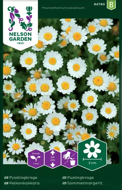 PEIKONKAKKARA - Muut kesäkukkien siemenet - 7312600947801 - 2