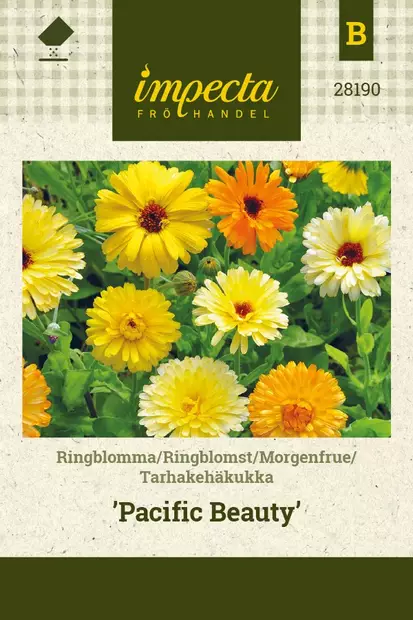 TARHAKEHÄKUKKA PACIFIC BEAUTY - Kehäkukan siemenet - 7332756281901 - 1