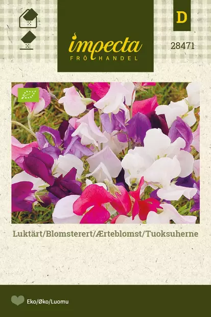 TUOKSUHERNE MIX - Muut kesäkukkien siemenet - 7332756284711 - 1