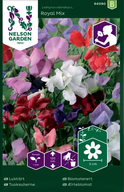 TUOKSUHERNE ROYA,L SEOS - Muut kesäkukkien siemenet - 7312600940901 - 1