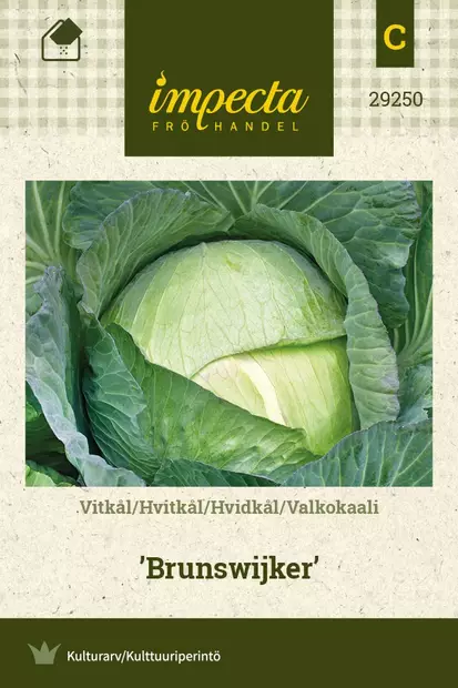 VALKOKAALI BRUNSWIJKER - Kaalin siemenet - 7332756292501 - 1