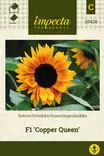 ISOAURINGONKUKKA COPPER QUEEN - Auringonkukan siemenet - 7332756284261 - 1