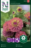 ISOTSINNIA SUNBOW PURPLE - Tsinnian siemenet - 7312600960091 - 2