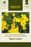 KÄÄPIÖSAMETTIKUKKA SIGNET LEMON - Muut kesäkukkien siemenet - 7332756231531 - 1