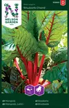 LEHTIMANGOLDI RHUBARB CHARD - Muut vihannesten siemenet - 7312600906891 - 2