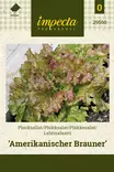 LEHTISALAATTI AMERIKANISCHER BRAUNER - Salaatin siemenet - 7332756295601 - 1