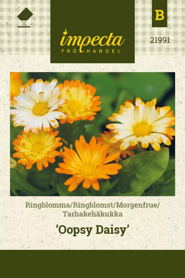 TARHAKEHÄKUKKA OOPSY DAISY - Kehäkukan siemenet - 7332756219911 - 1