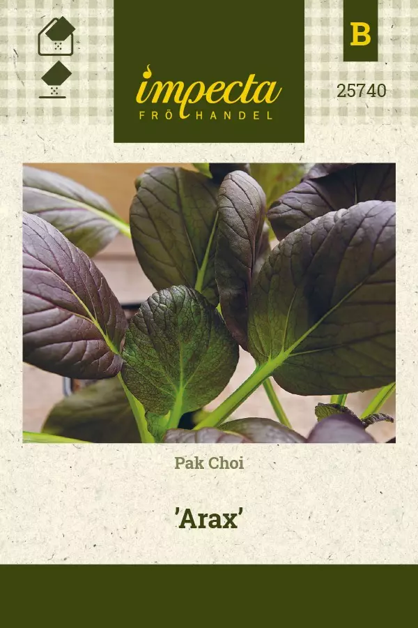 PAK CHOI ARAX - Salaatin siemenet - 7332756257401 - 1