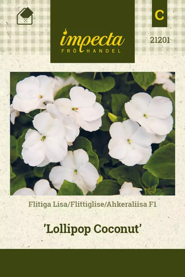 AHKERALIISA LOLLIPOP COCONUT - Muut kesäkukkien siemenet - 7332756212011 - 1