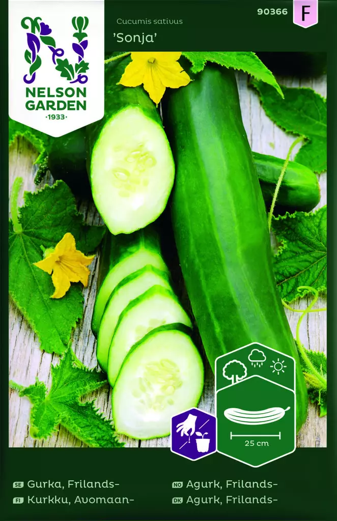 AVOMAANKURKKU SONJA - Kurkun siemenet - 7312600903661 - 1