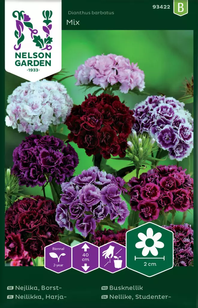 HARJANEILIKKA MIXED DOUBLE, SEOS - Perennojen siemenet - 7312600934221 - 1