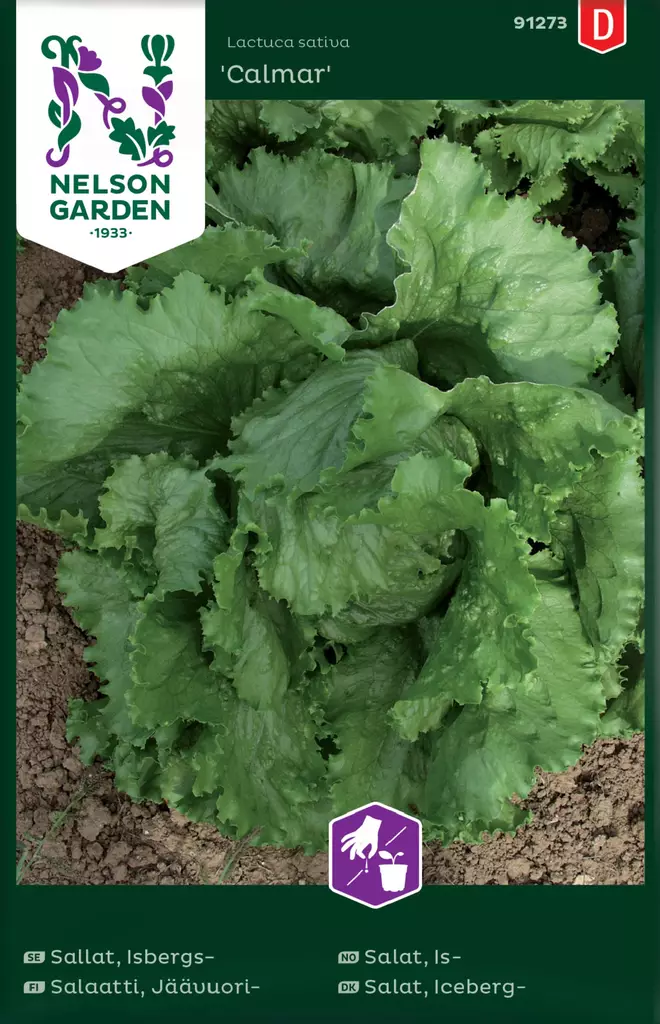 JÄÄVUORISALAATTI CALMAR - Salaatin siemenet - 7312600912731 - 2