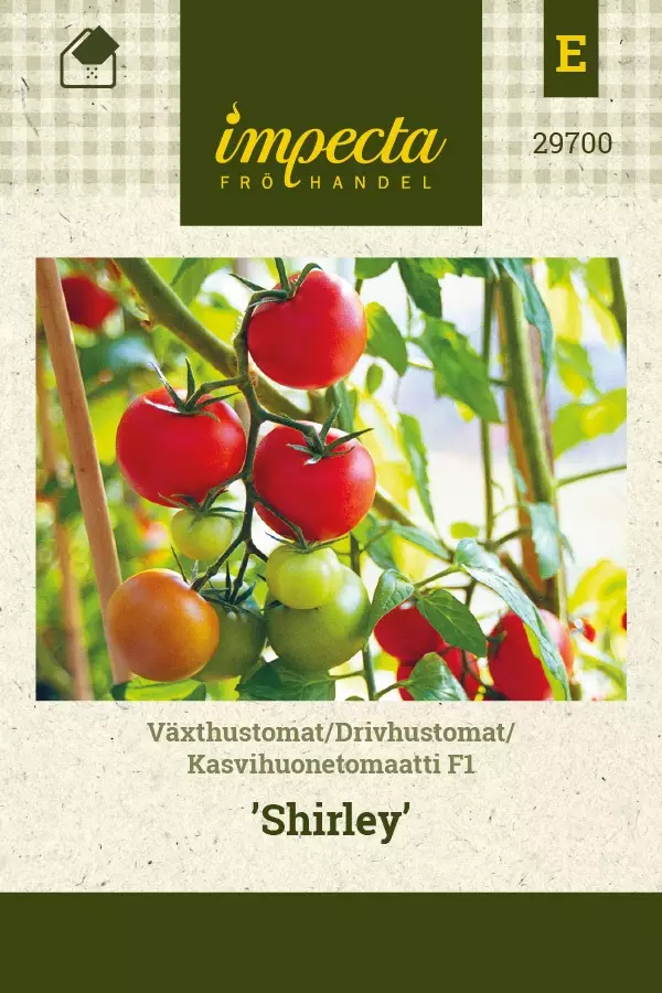 KASVIHUONETOMAATTI SHIRLEY - Tomaatin siemenet - 7332756297001 - 1