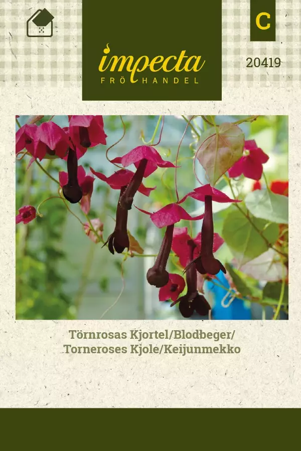 KEIJUNMEKKO - Muut kesäkukkien siemenet - 7332756204191 - 1