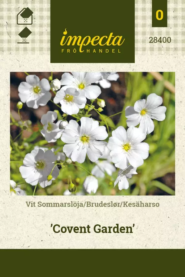 KESÄHARSO COVENT GARDEN - Muut kesäkukkien siemenet - 7332756284001 - 1