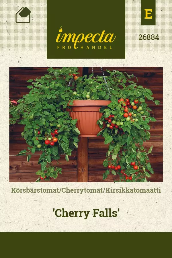 KIRSIKKATOMAATTI CHERRY FALLS - Tomaatin siemenet - 7332756268841 - 1