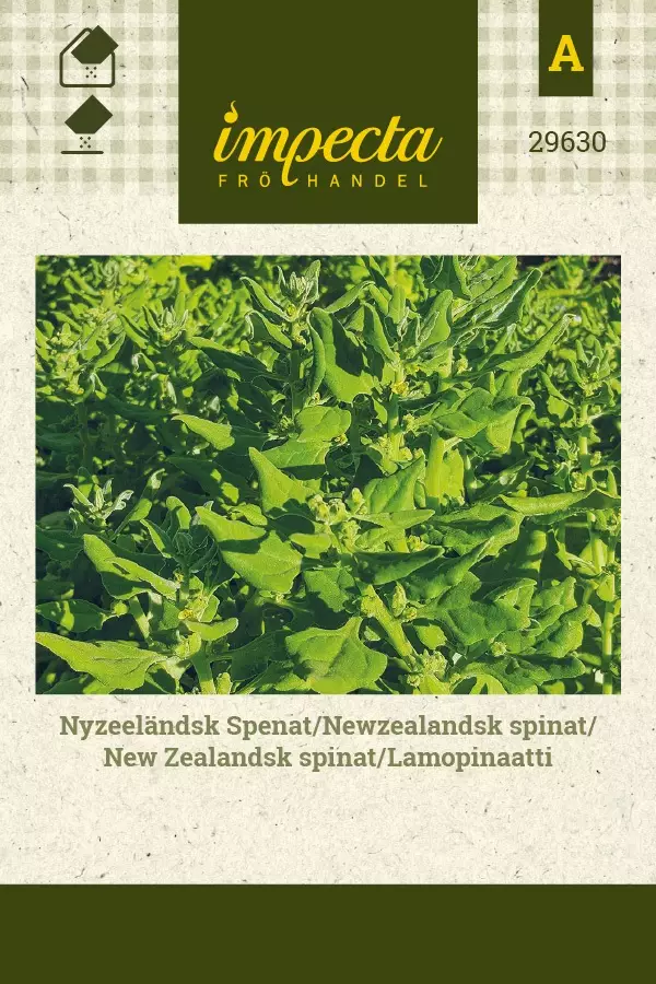 LAMOPINAATTI - Muut vihannesten siemenet - 7332756296301 - 1