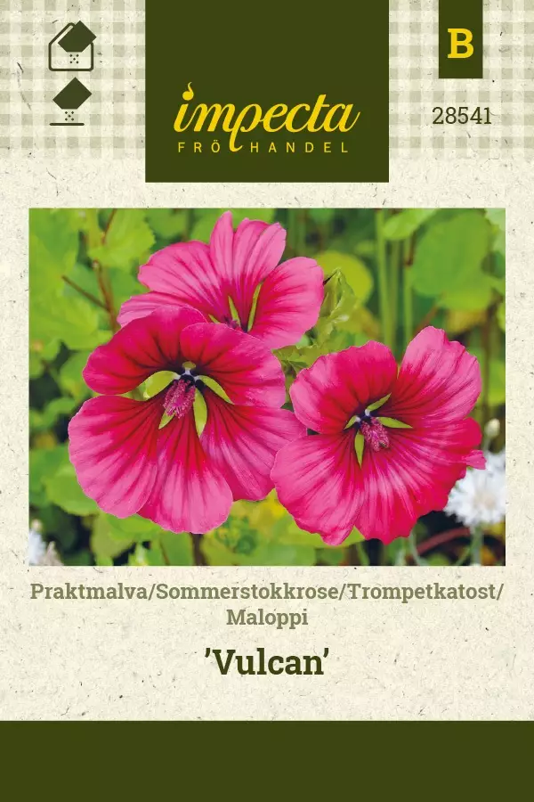 MALOPPI VULCAN - Muut kesäkukkien siemenet - 7332756285411 - 1