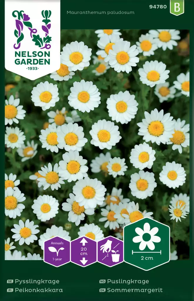 PEIKONKAKKARA - Muut kesäkukkien siemenet - 7312600947801 - 2