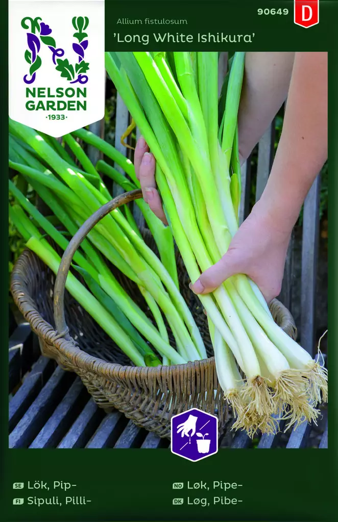 PILLISIPULI LONG WHITE ISHIKURA - Muut vihannesten siemenet - 7323600906491 - 1