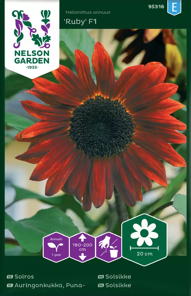 PUNA-AURINGONKUKKA RUBY F1 - Auringonkukan siemenet - 7312600953161 - 2