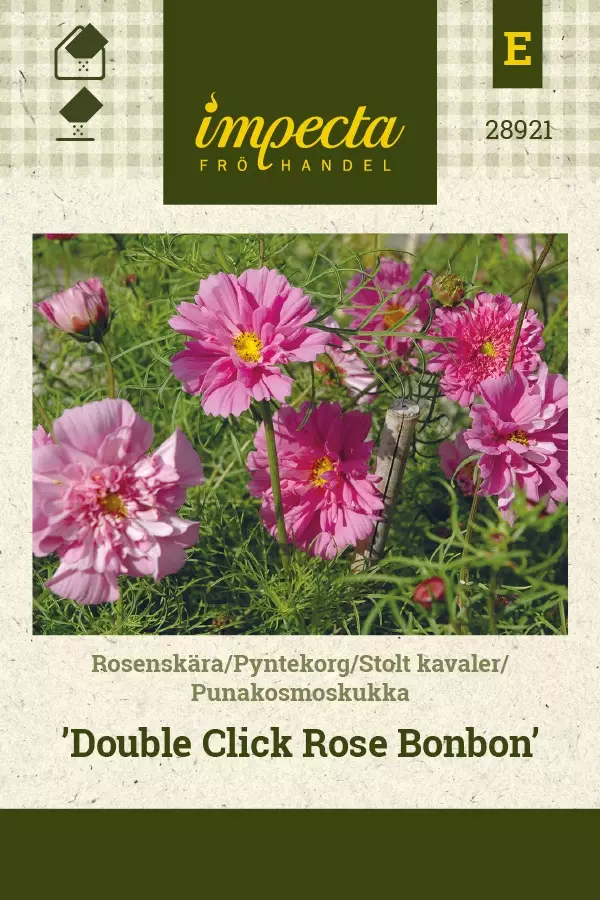 PUNAKOSMOSKUKKA DOUBLE CLICK ROSE BONBON - Muut kesäkukkien siemenet - 7332756289211 - 1