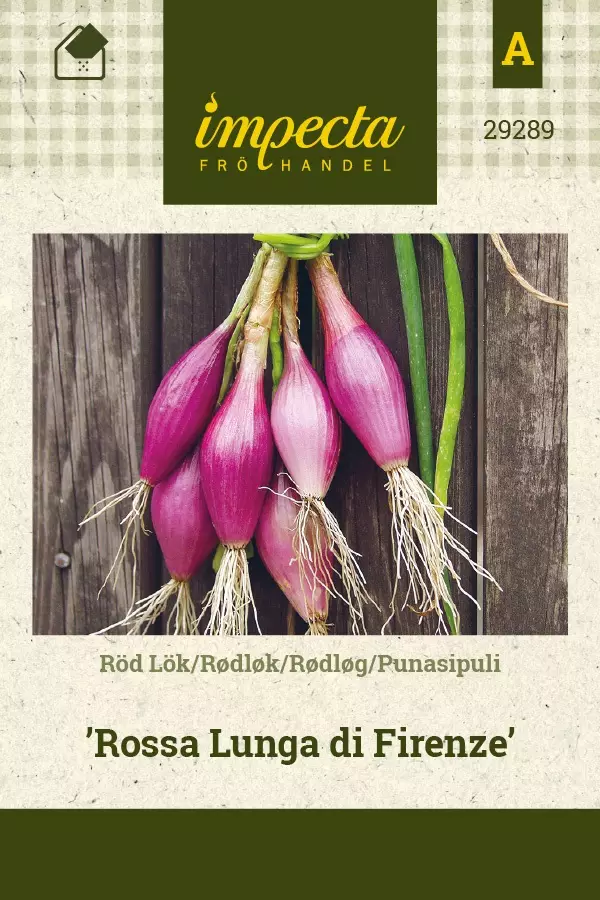 PUNASIPULI ROSSA LUNGA DI FIRENZE - Muut vihannesten siemenet - 7332756292891 - 1