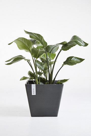 ROTTERDAM RUUKKU TUMMANHARMAA 40 CM - Muoviruukut - 5411942740681 - 1