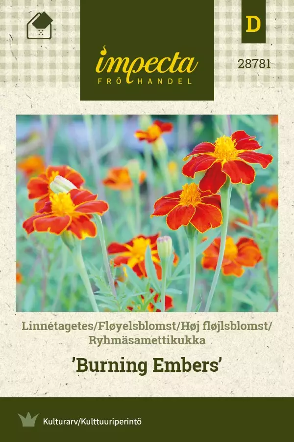 RYHMÄSAMETTIKUKKA BURNING EMBERS - Muut kesäkukkien siemenet - 7332756287811 - 1