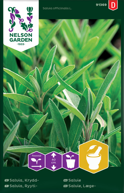 RYYTISALVIA - Muut yrttien siemenet - 7312600913691 - 1