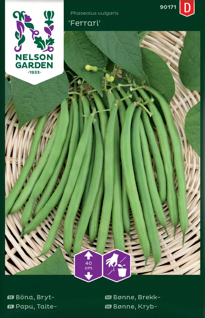 TAITEPAPU FERRARI - Pavun siemenet - 7312600901711 - 2