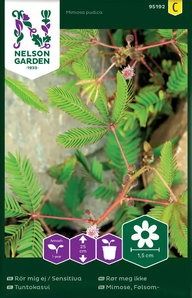 TUNTOKASVI - Muut kesäkukkien siemenet - 7312600951921 - 1