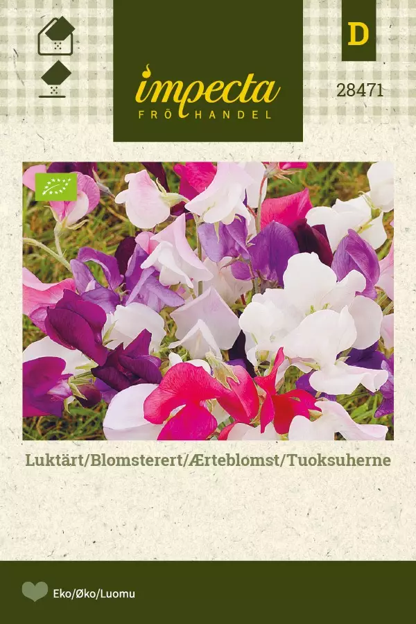 TUOKSUHERNE MIX - Muut kesäkukkien siemenet - 7332756284711 - 1