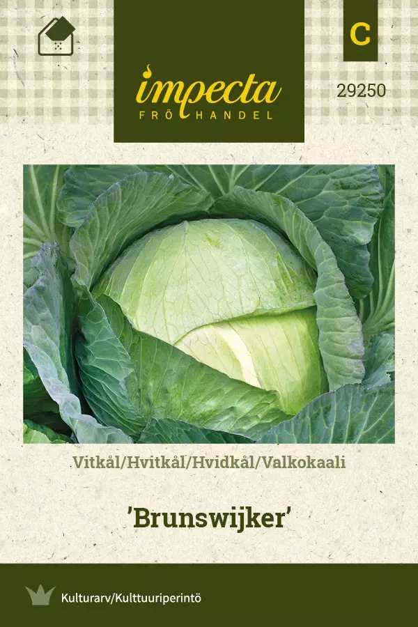 VALKOKAALI BRUNSWIJKER - Kaalin siemenet - 7332756292501 - 1