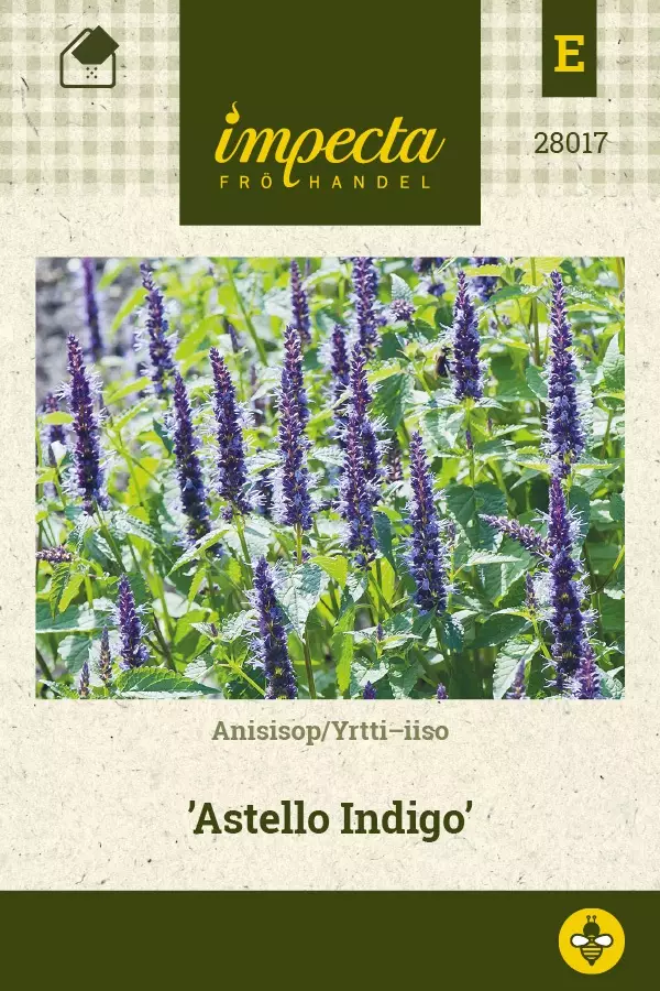 YRTTI-IISO ASTELLO INDIGO - Muut kesäkukkien siemenet - 7332756280171 - 1