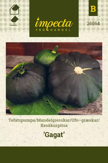 KESÄKURPITSA GAGAT - Kurpitsan siemenet - 7332756265642 - 1