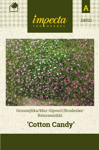 KETORAUNIKKI COTTON CANDY - Muut kesäkukkien siemenet - 7332756240212 - 1