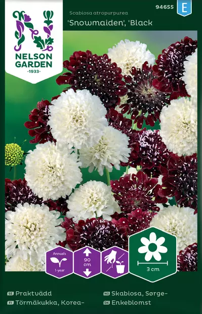 KOREATÖRMÄKUKKA MIX - Muut kesäkukkien siemenet - 7312600946552 - 2