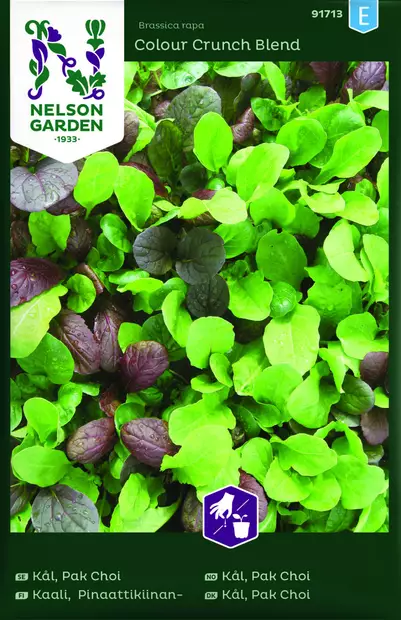 PINAATTIKIINANKAALI MIX - Kaalin siemenet - 7312600917132 - 1