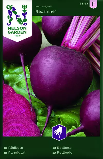 PUNAJUURI REDSHINE - Punajuuren siemenet - 7312600911932 - 1