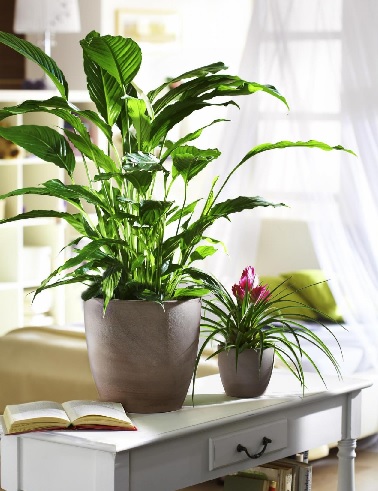 RUUKKU EARTH 19 CM - Keraamiset ruukut - 4002477497402 - 2