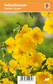 TARHAPÄIVÄNNOUTO GOLDEN QUEEN - Muut perennat - 2034660900002 - 1