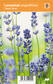 TÄHKÄLAVENTELI DWARF BLUE - Muut perennat - 2034719400002 - 1