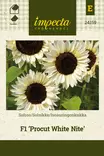 ISOAURINGONKUKKA PROCUT WHITE NITE - Auringonkukan siemenet - 7332756241592 - 1