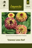 ISOTSINNIA QUEENY LIME RED - Tsinnian siemenet - 7332756288382 - 1