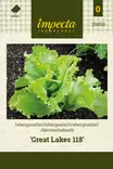 JÄÄVUORISALAATTI GREAT LAKES 118 - Salaatin siemenet - 7332756295502 - 1